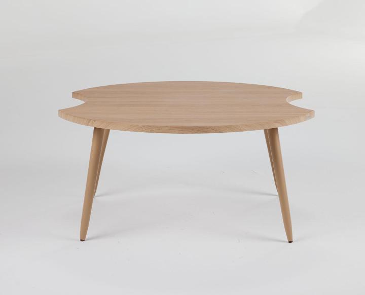 MOLDE ORTA ZIGON SEHPA1